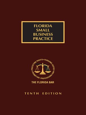 cover image of Florida Small Business Practice